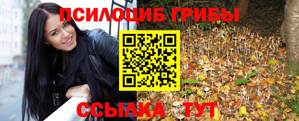 Псилоцибиновые грибы прущие грибы Советский