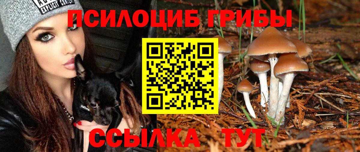 Галлюциногенные грибы мухоморы  Вход с VPN  Советский  продажа наркотиков  Псилоцибиновые грибы мицелий 
